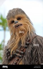 settantunesima-cannes-film-festival-chewbecca-qui-per-la-promozione-del-film-solo-una-star-war...jpg