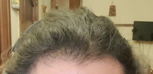 capelli dopo 1 giorno.jpg