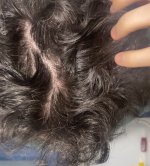 IMG 7986 min IMG 7986 min