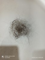 IMG 20250603 000548 copy 768x1023