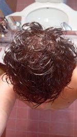 capelli bagnati 2.jpg
