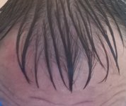 IMG_20250710_192630_969 (1) (1).jpg