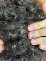 Capelli alo 1 Capelli alo 1