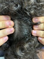 Capelli alo 5 Capelli alo 5