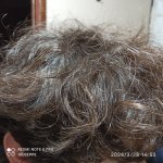 IMG 20260328 165310 copy 800x800 IMG 20260328 165310 copy 800x800