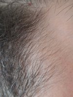 20260423_113615 (1).jpg