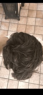 IMG_8641.jpeg