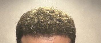 IMG_1388.jpeg