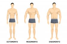 Endo meso o ectomorfo quale figura ti rappresenta di pi 2