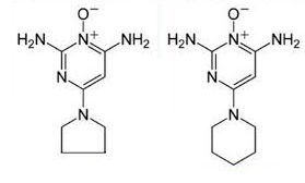 Triaminodil e minoxidil molecole quasi uguali