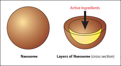 Nanosomi