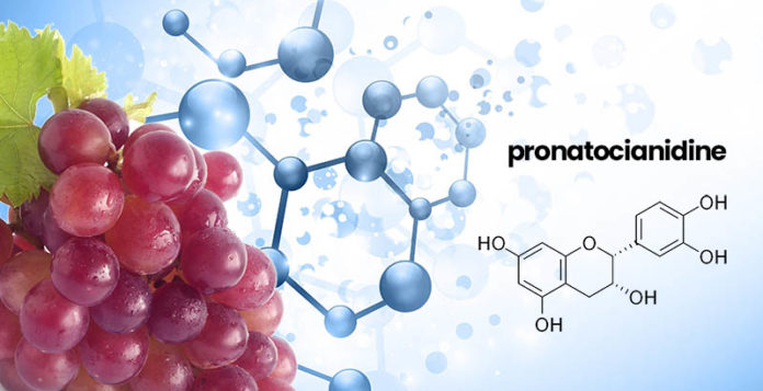 antiossidanti e anti radicali liberi: le proantocianidine