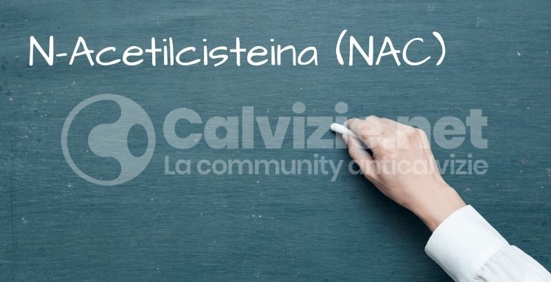 calvizie.net