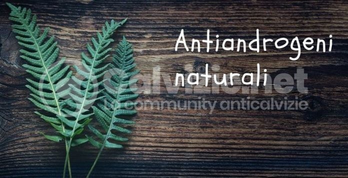 antiandrogeni naturali