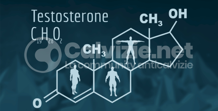 testosterone e capelli