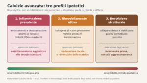 Calvizie avanzata